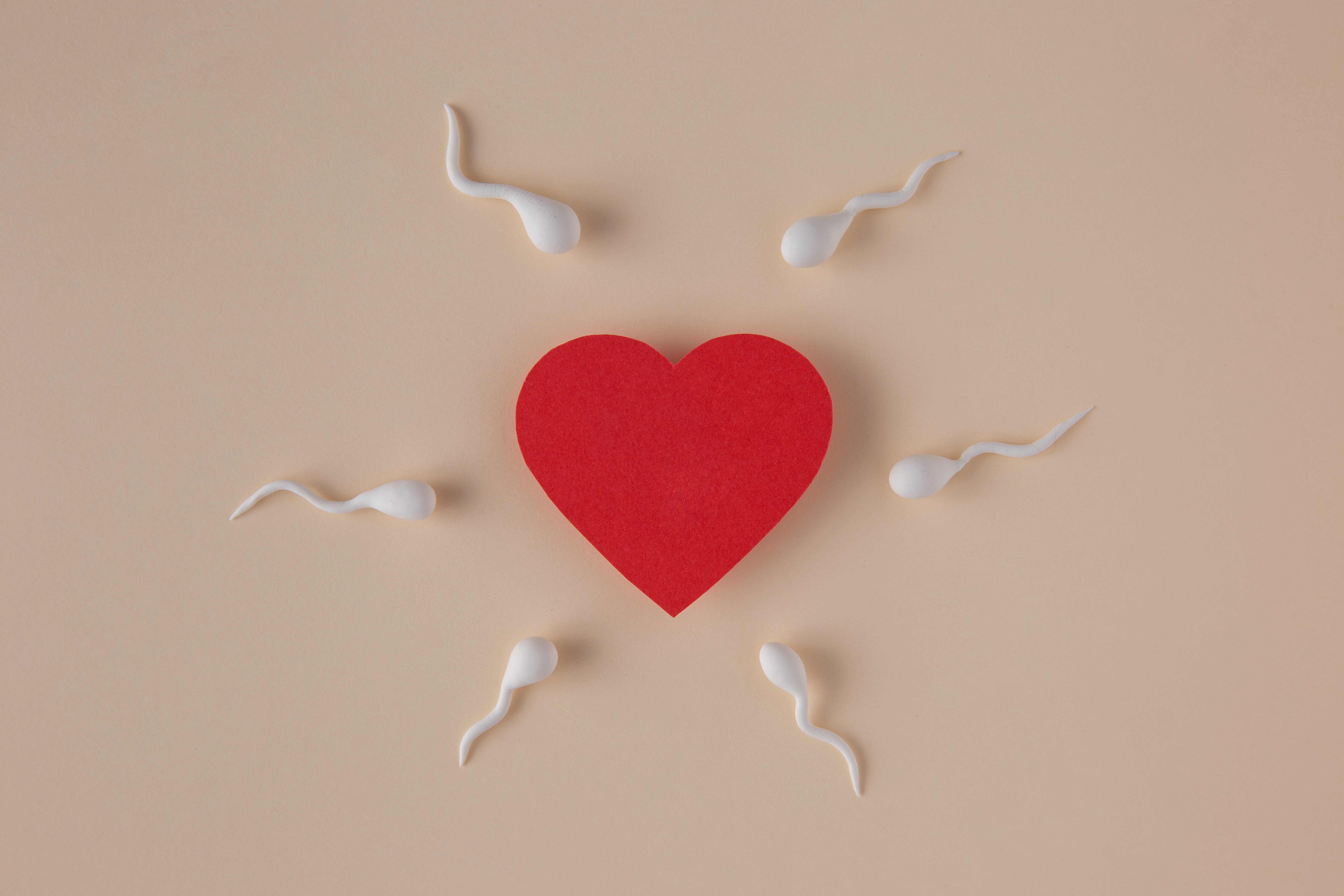 Как принять участие в вебинаре