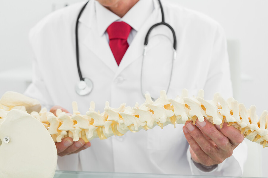 Spine-Model.jpg