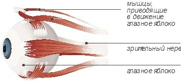 oftalmologicheskiye-operacii-child-1.jpg