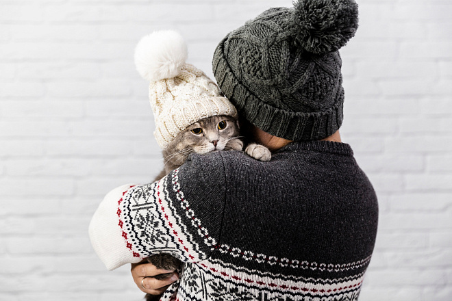 /upload/resize_cache/iblock/11a/8n0n2whdf0zfyc4dn5l160a7tmnrxa99/660_440_1/cute_cat_with_hat_held_by_owner.jpg