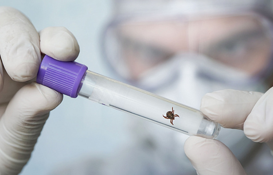 Как защититься от клещевого энцефалита