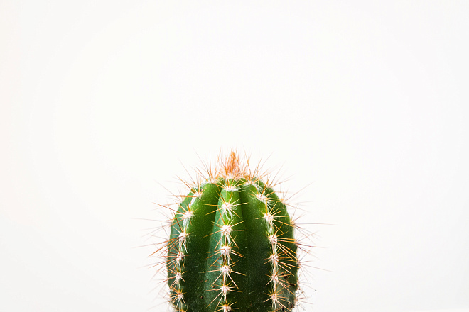 /upload/resize_cache/iblock/4d3/660_440_1/ugur_akdemir_xhMTF15IeBw_unsplash.jpg